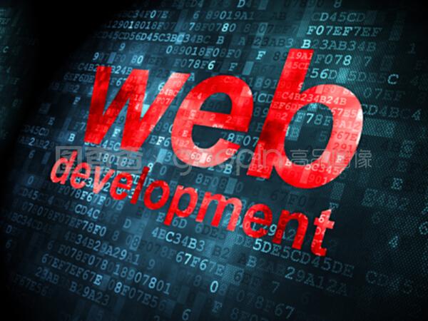 數(shù)字背景下的SEO網絡開發(fā) 概念與實踐