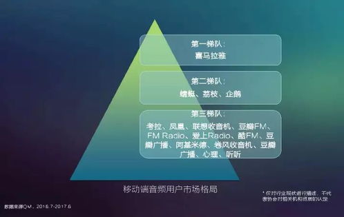 2017中國(guó)網(wǎng)絡(luò)視聽(tīng)發(fā)展報(bào)告 用戶(hù)付費(fèi)意識(shí)崛起與網(wǎng)生內(nèi)容品質(zhì)化轉(zhuǎn)型