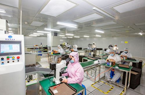 奮進(jìn)在春光里 電子信息產(chǎn)業(yè)滿(mǎn)園春色，信息技術(shù)咨詢(xún)服務(wù)賦能向海圖強(qiáng)